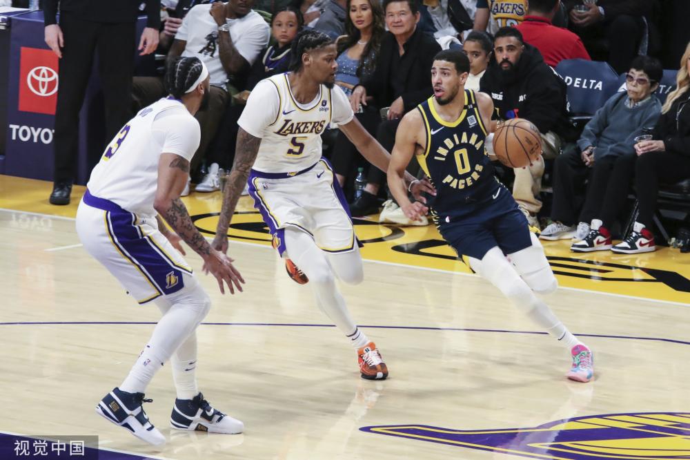 不仅展示了 不仅展示了